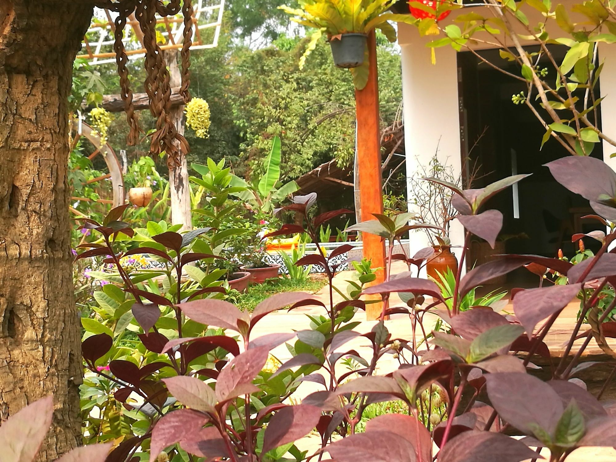 Angkor Dino B&B Сиемрип Экстерьер фото